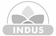 INDUS