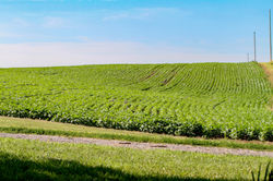 Map of Papillion, NE Property