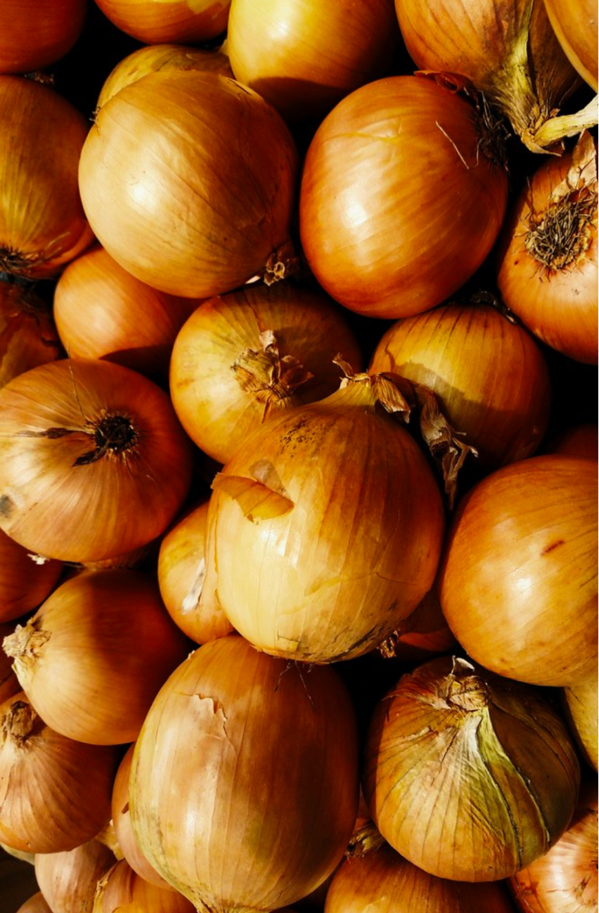 winter crops, cold crops for winter production in greenhouses