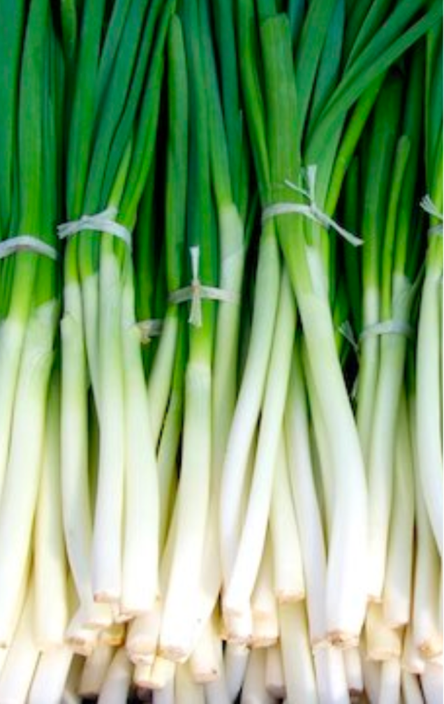 winter crops, cold crops for winter production in greenhouses