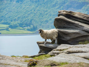 Best Things To Do In The Peak District This Weekend (May Bank Holiday 2026)