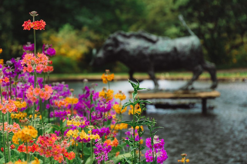 Chatsworth gardens