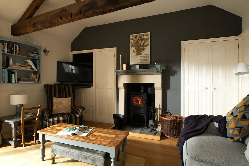 Cozy living room with a lit wood stove, striped armchair, TV, bookshelves, and sunlit gray walls under exposed beams.