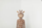 giraffe2小泉悟.jpg