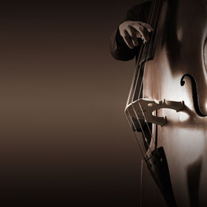 Common Problems Faced by School Double Bass Students in CCA
