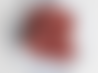 Brand Spotlight: Royal Beef - Where Consistency Meets the Cut