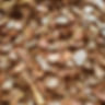 Pine Bark
