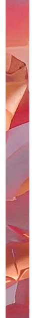 Barra ROI.png