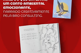 Livro de Colorir _Pinta e explora a vida das aves marinhas de Cabo Verde. Uma história div