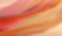 fundo.png
