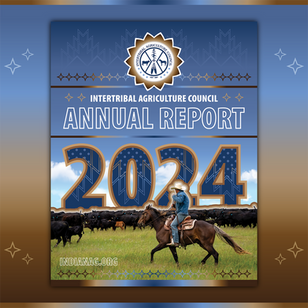 Building Stronger Futures: Our 2024 Year in Review