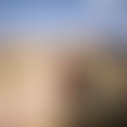 Tribal Producers Lead the Way in Regenerative Agriculture