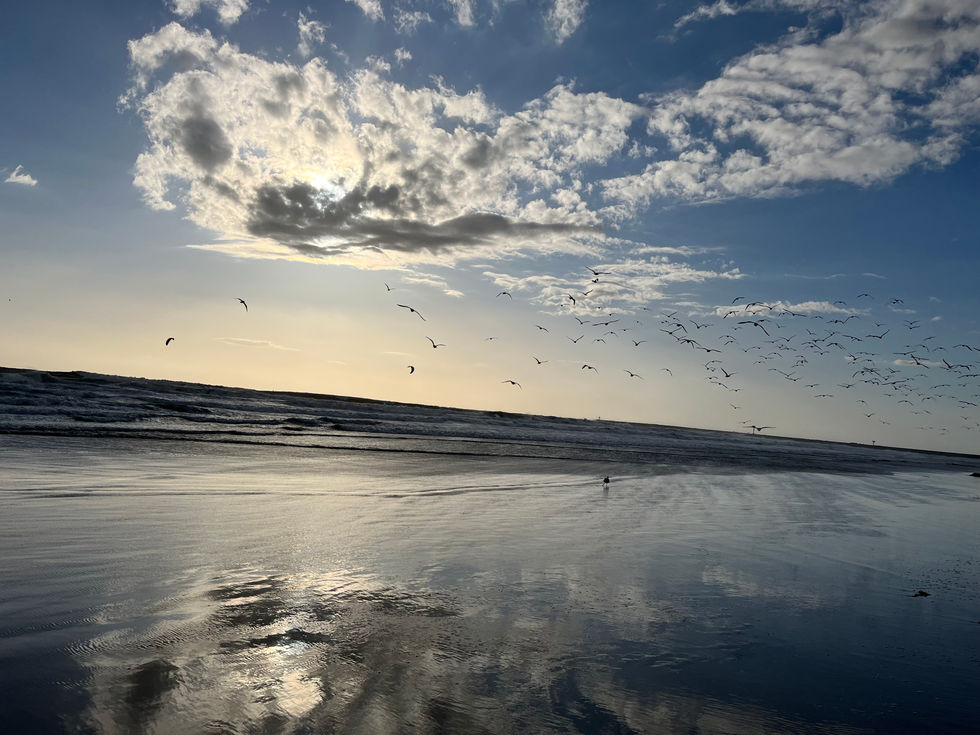 Oceanside 2