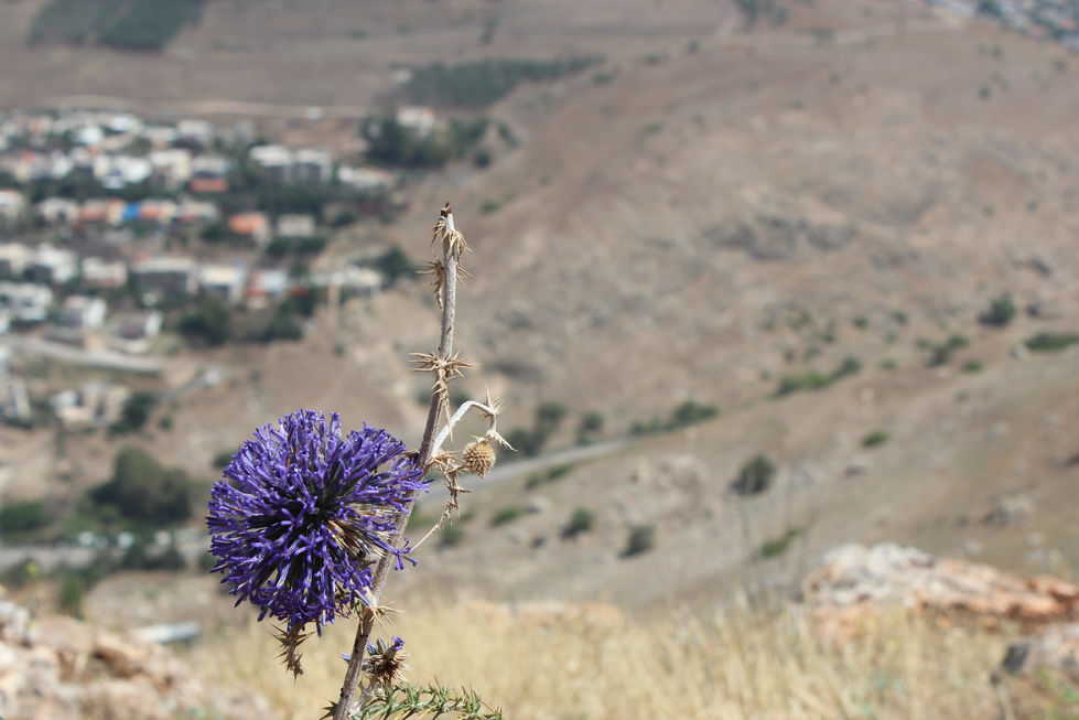 Jerusalem