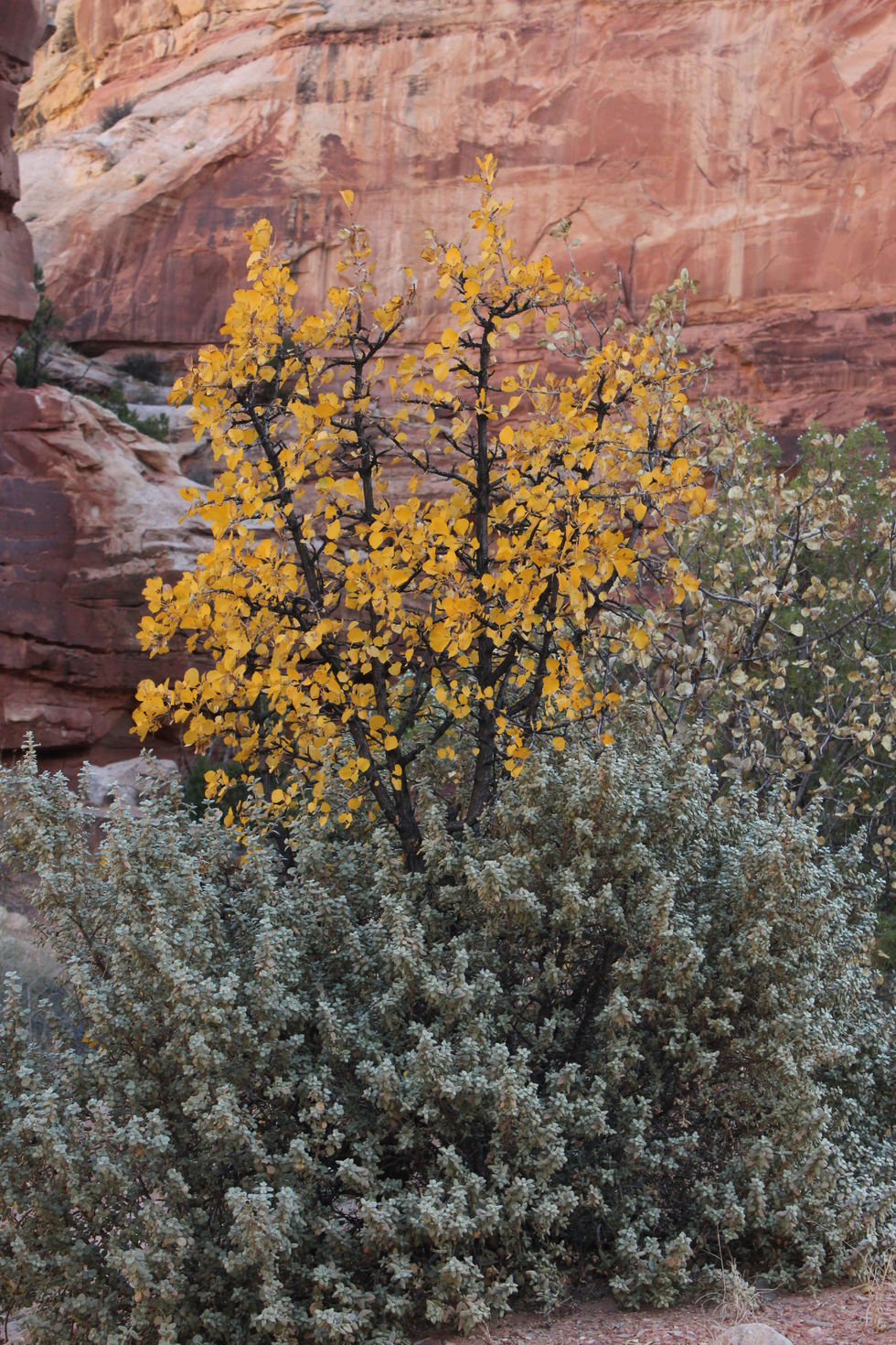 Capital Reef