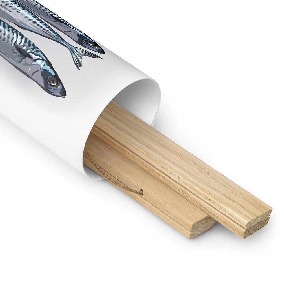 Thumbnail: Anchovy Poster with hangers