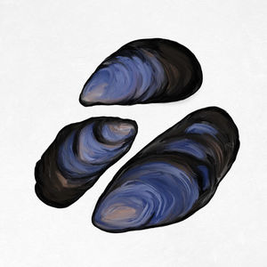 mussels