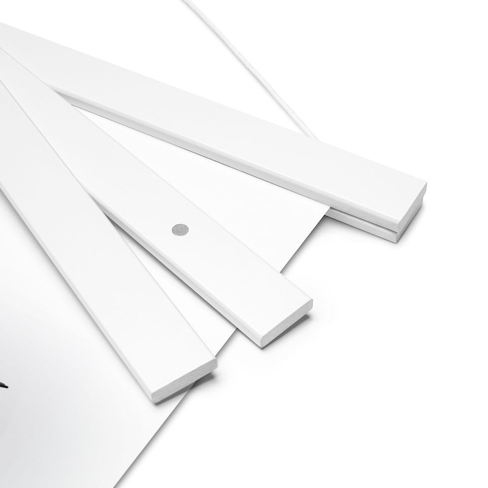 Thumbnail: Anchovy Poster with hangers