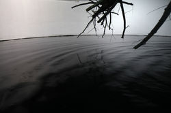 SlowSlow-QuickQuick/슬로우슬로우퀵퀵