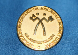 Pin