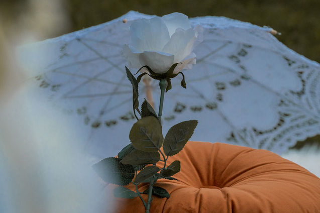 Daniel Christabel Proposal-45.jpg