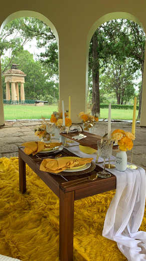 AND-Events-Sydney-Luxury-Pop-Up-Picnic-Milk-and-honey-24.jpg