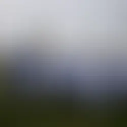 What is the place of Zionism in Holocaust theology? A comparison of Emil Fackenheim and Mark Ellis