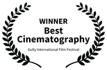 GullyInternationalFF_BestCinematography_Created_Black.png
