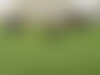 Laupäeval, 1. novembril algab Tammeka Junior Cup