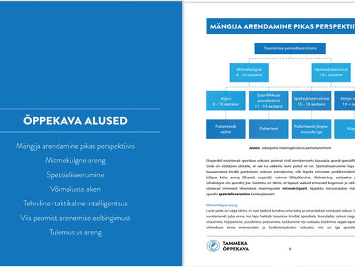 Mis on Tammeka õppekava?