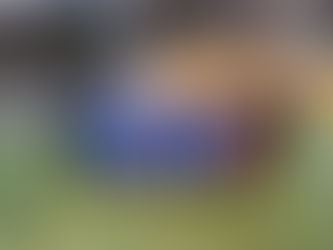 2011 Sinine Riias: "Võrreldes Eestiga oli sel turniiril aega ja ruumi tegevusteks ning mõtlemiseks kõvasti vähem!"