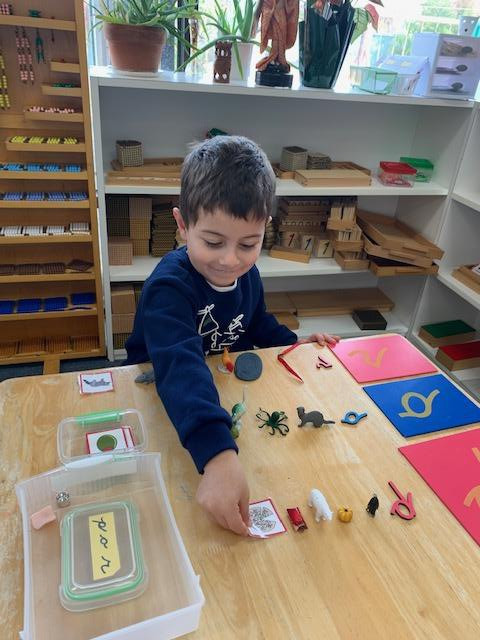 Montessori Environments