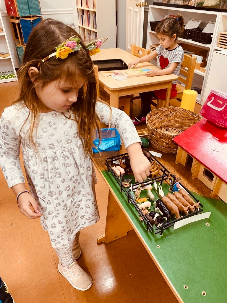 Girl selecting animal from the farm