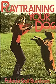 Play Training your Dog