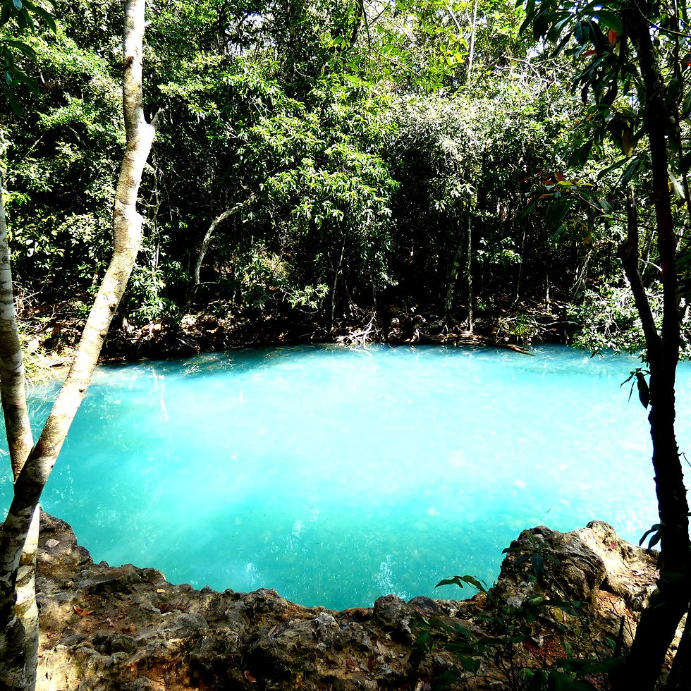 Spa Pool, Cardwell