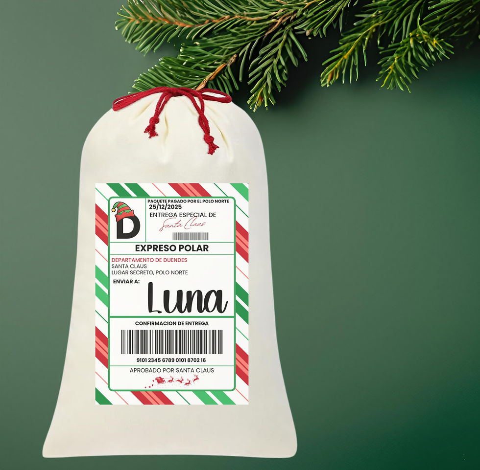 Saco de Regalo de Navidad