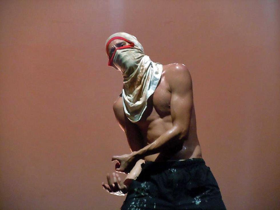 Visitas ao Cão- 2017