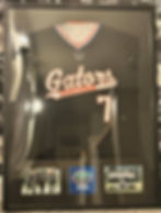 Gators1.jpg