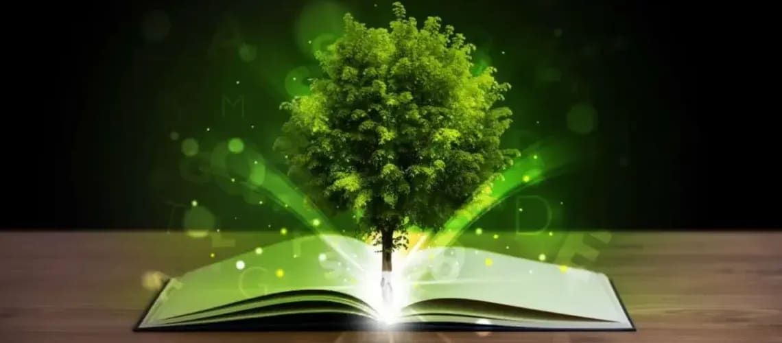 5 Reasons Why People Read Inspirational True Story Books