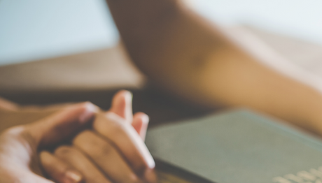 Copy of PRODUCTS - SERVICES - Sofi Green.png