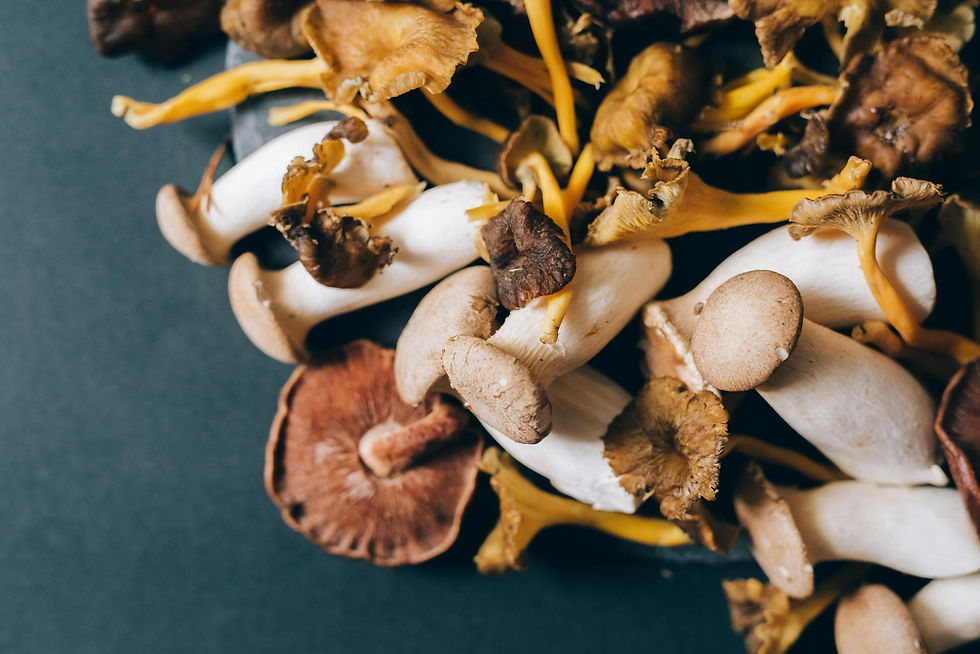From Forest to Fork: How to Cook with Wild Mushrooms