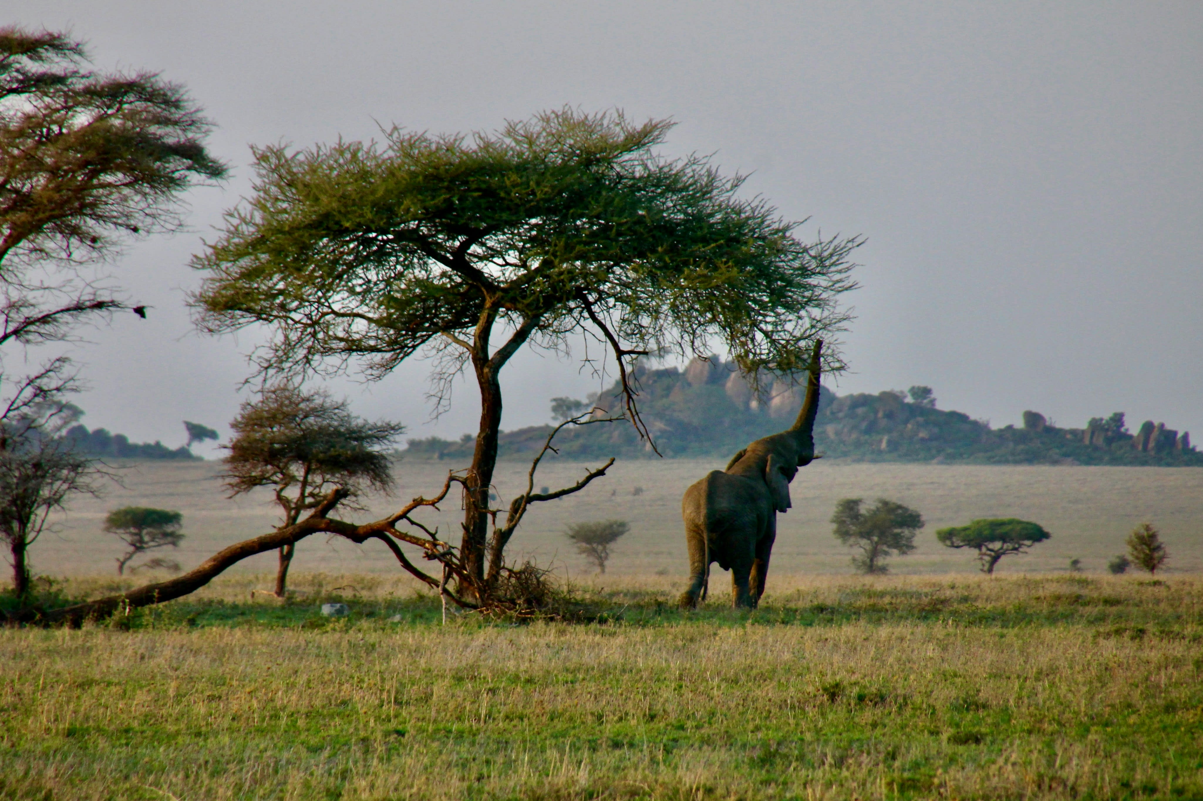 Top 10 Must-Visit Destinations in Africa with Quallo World Travel