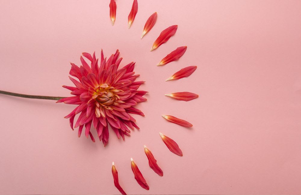 Why Should Women Be Mindful of Hormone and Skin Health?