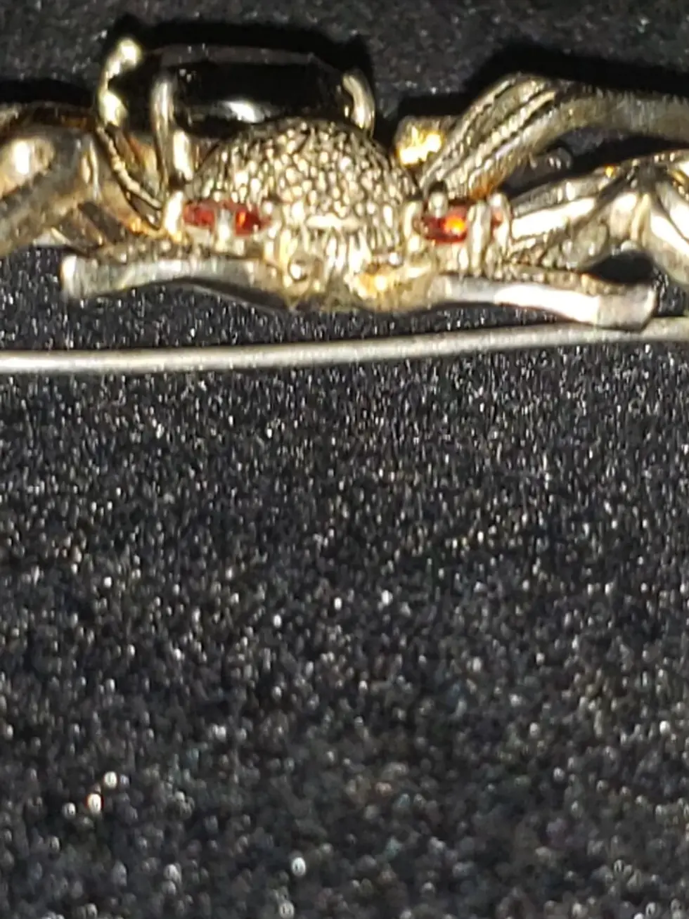 Thumbnail: Sterling Gemstone Bee & Crab Brooch 24g