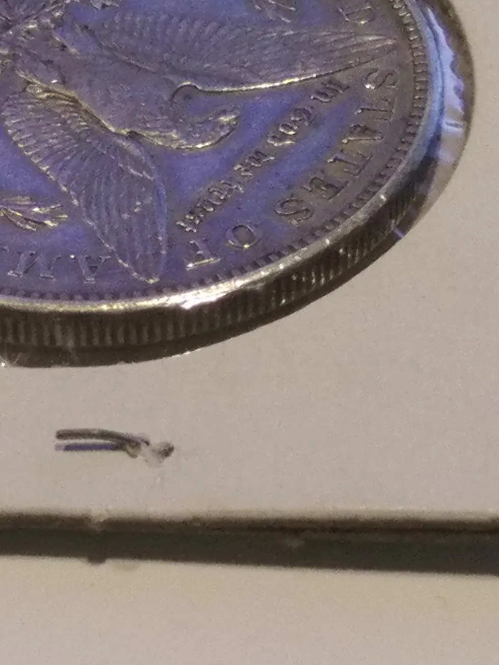 Thumbnail: 1921-S Morgan Silver Dollar Last Year Issue