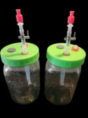 Luer Lock Liquid Culture Lid System