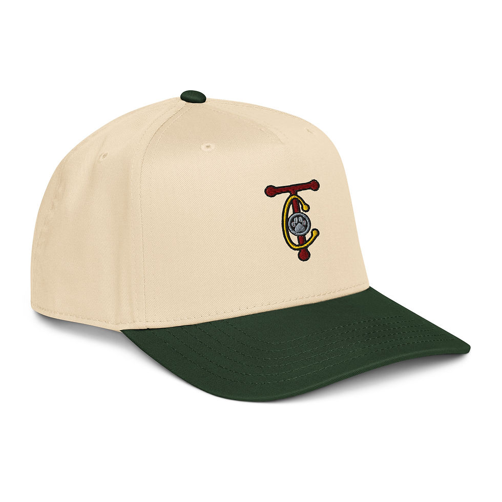 Thumbnail: 5 panel cap