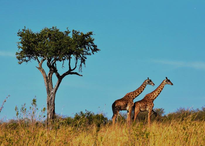 Exploring Tanzania & Zanzibar - Tips and Must-See Places