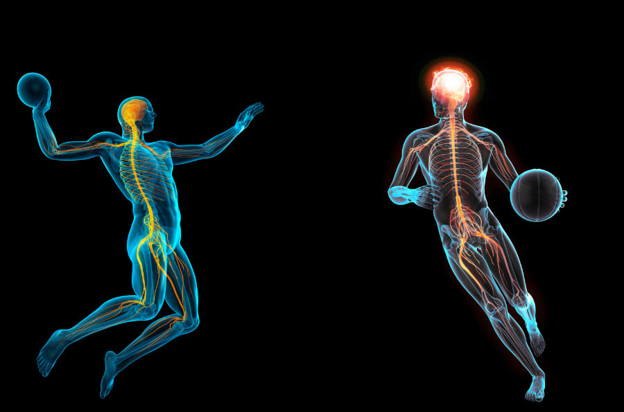The Link Between Play, Joy, and a Thriving Nervous System