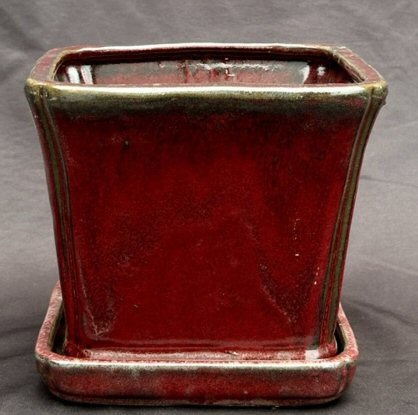 Parisian Red Ceramic Bonsai Pot Square With Att...